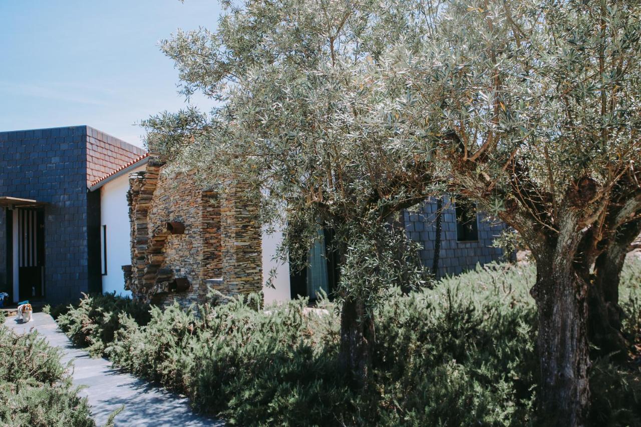 Marvão Casas Da Fontanheira 게스트하우스 외부 사진
